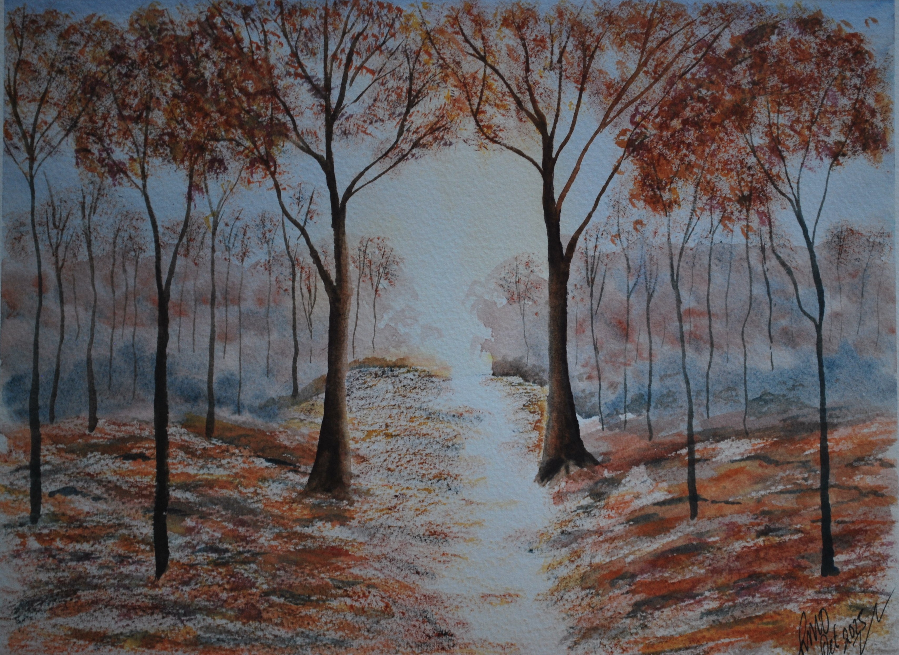 Enchanted forest path