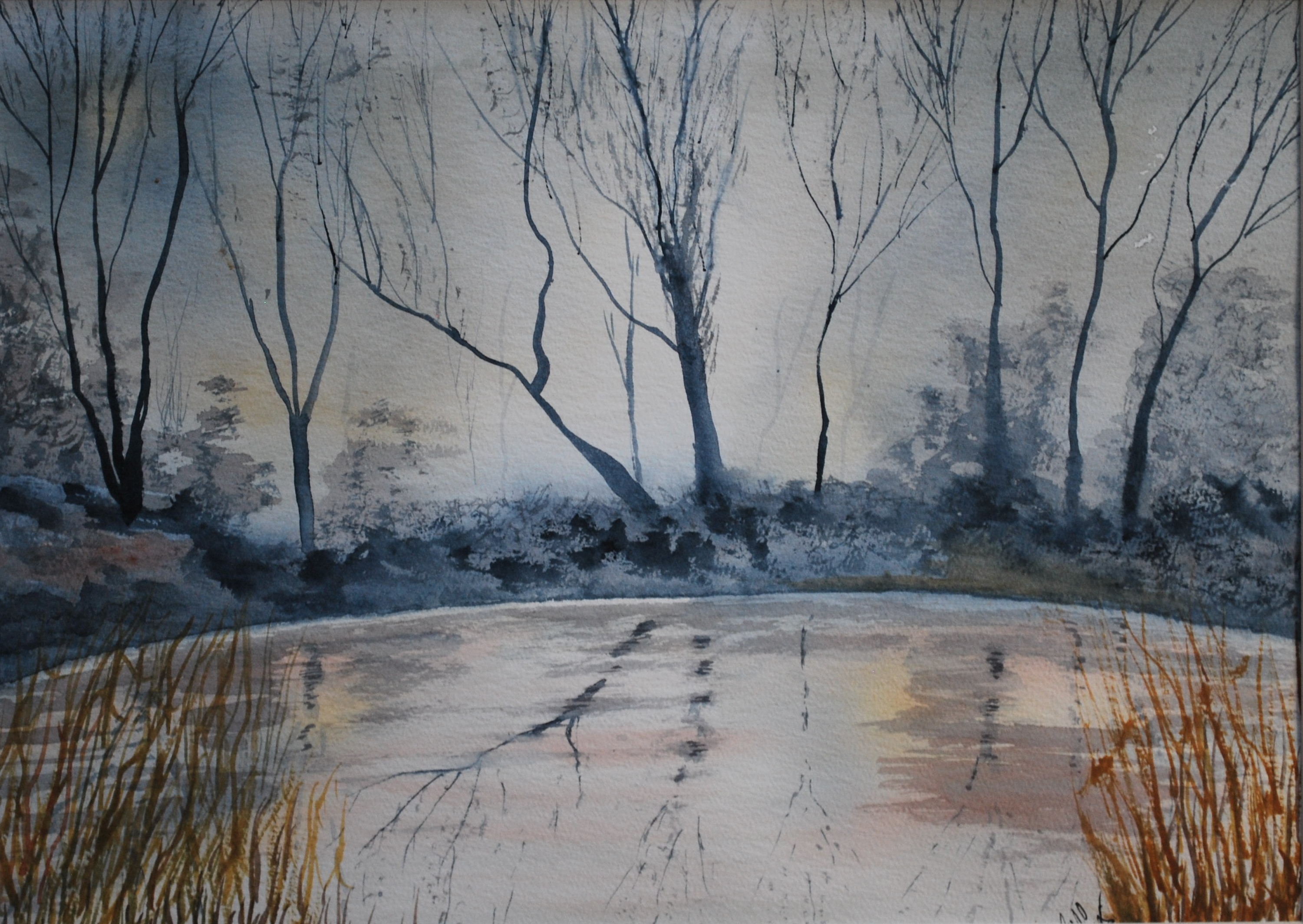 Trees reflecting on a pond